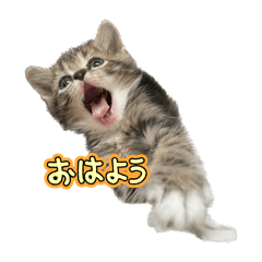 chikuwa_20260405225859