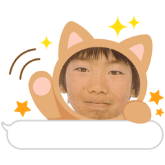 nocol_20260405233817