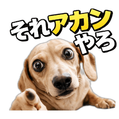 Animalcreation_20260409221532
