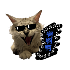 萊菈是隻傲嬌喵