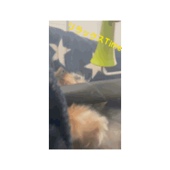 MASAKI_20260409225500Movie