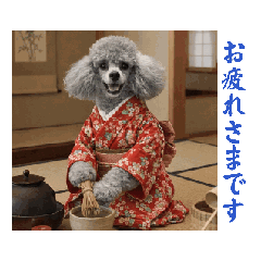 ayame_20260409175653