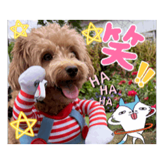 najunaju_20260410012309