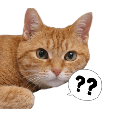 yuumaa120_20260406002100