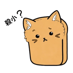 西瓜豬和吐司貓