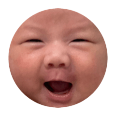 美羅寶包表情包