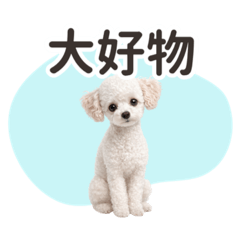 toy_pooooodle_20260408213502