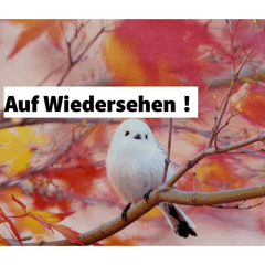 KamatKyousuke_20260408214046