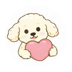 Simple version - Apricot toy poodle Leo