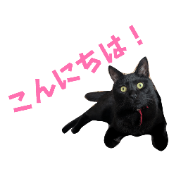 keeeeeeyseye1204_20260409160707