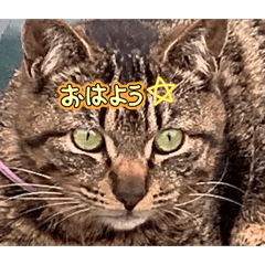 rinrinrin_20260409182526