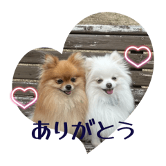 yamaguti_20260409181138