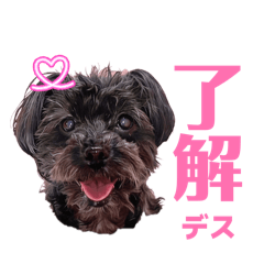 mahiro_20260409185448