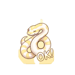 Tamaki Iwanami_20260409185628