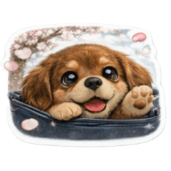 Pyonta1029_20260409185503