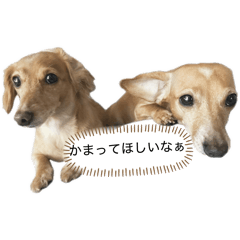 satsu_20260409185610