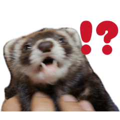 hikaru_20260409190415