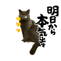 Sherry_20260409191615