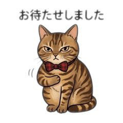 popola_20260409190909