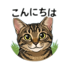 yoshii_20260409192207