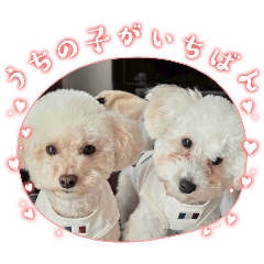 YURIKA_20260409192228