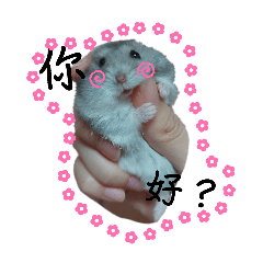 啾比是一隻倉鼠