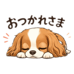 makka_20260409161557