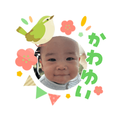 Yamagumi_20260409162040