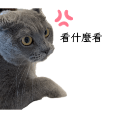 我是灰塵灰塵是我