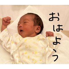 Kurumi_20260409162832