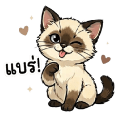 Lamoon Everyday Chat