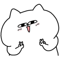 Cat is always squishy