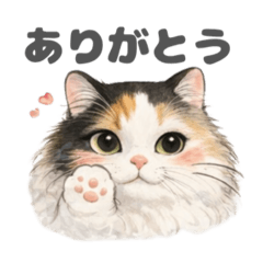 Fluffy Calico Cat Stickers.