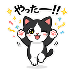 White eyes Black body Cat