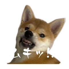 manami_20260409140302