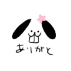 rabbit_20260409140611