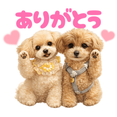 piropiro_20260409140941