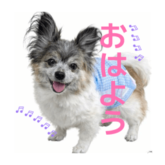 Ginsuimaru_20260409142120