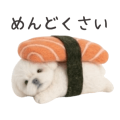 Taki Madoka_20260409141948