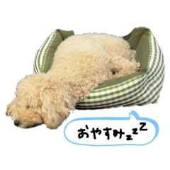 iwara_20260409142230