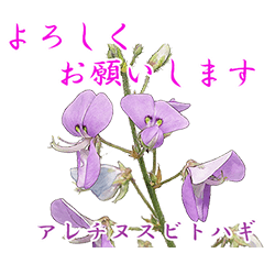 Wildflower Stickers Autumn Collection