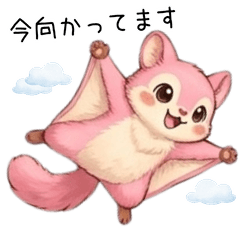 pink sugar glider"momo"2