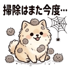 Pomeranian in Adorkable Mess