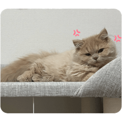 Mizuki_20260409200352