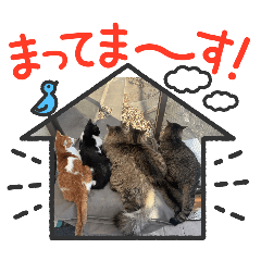 chihamon1216_20260409202111