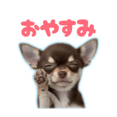 banana_20260409203419