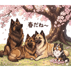 Fine Tail_20260409203308