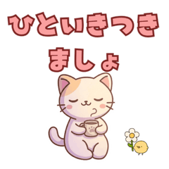 Cute Cat Polite Phrases in Large Text