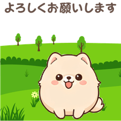 Sweet & Polite Pomeranian Stickers