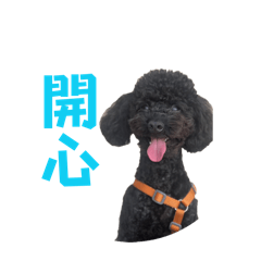 波奇與弟弟